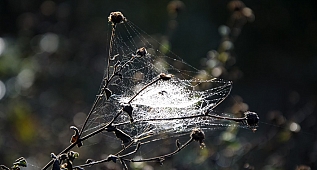 "Donmuş Zaman Kareleri" Miniatürk'te
