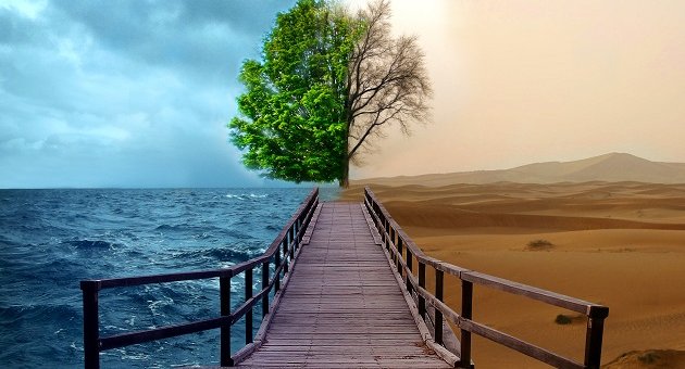 2015’in çevre açısından en iyi ve en kötü olayları