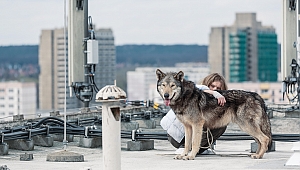 Alman sinemasının 'Gri Bölge'si İstanbul Modern'de