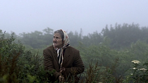 Öğrenciye 2 liraya sinema