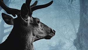 Yekta Kopan’dan yeni öykü kitabı: Sakın Oraya Gitme