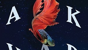 David Vann’dan çarpıcı bir roman: Akvaryum 