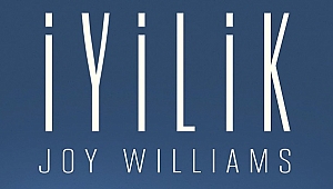 Joy Williams 