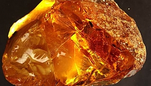 Kehribarın faydaları ve ülkemizdeki yeri nedir?