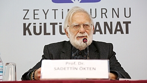 Sadettin Ökten: Şehrin renklerini hoyratça siliyoruz