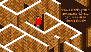 The Fool, Enayi adıyla tiyatro sahnesine taşınıyor