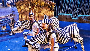 Animals Musical, 110 kişilik dev kadrosuyla İstanbul'da