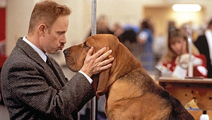 Pera Film'den köpek filmleri seçkisi