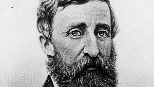 Henry David Thoreau kimdir?