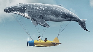 Çocuk Filmleri Festivali'nin ilk durağı Elazığ