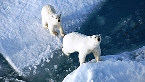 ​İlk Türk gezgin grubu Kuzey Kutbu’na bayrak dikti