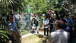 Cahit Zarifoğlu vefatının 30. yılında anıldı