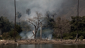 Bellek üzerine ya da nasıl çiftdüşünebilirim?