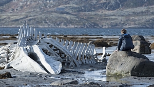 Andrey Zvyagintsev filmleri Malatya'da