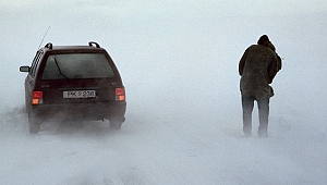 Bienale dair: Komşu olmak