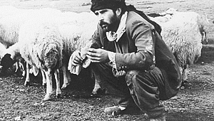 UNIQ Açık Hava Film Festivali, Sürü filmi ile sona eriyor