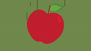 Carlo Rovelli'den Fizik Üzerine Yedi Kısa Ders