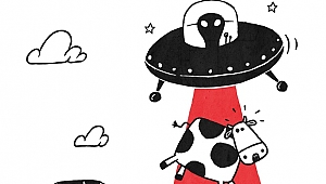 Filmekimi biletleri ne kadar?