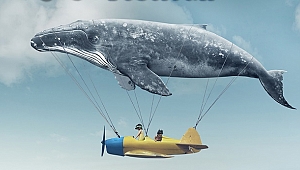 Çocuk Filmleri Festivali 14. kez kapılarını açıyor