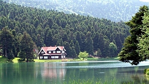 Sonbaharın vazgeçilmezi: Bolu Abant