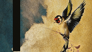 İtibar’ın kasım sayısı çıktı