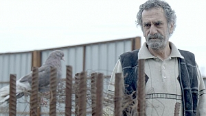 ‘Babamın Kanatları’ filminin ödüllü müzikleri albüm oluyor