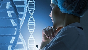 Sperm dna hasar testi nedir?