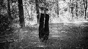 Sergi: Tuhaf Kara Elkitabı