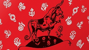 Yeni çıkan kitaplar: Ferdinand