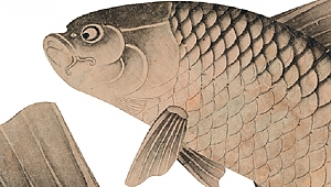 Yeni çıkanlar: Boğaziçi’nde Balık