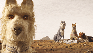 Berlin'in en iyileri 37. İstanbul Film Festivali'nde