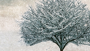 İtibar dergisinin şubat sayısı çıktı