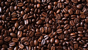 Topraktan fincana kahvenin serüveni ele alınacak