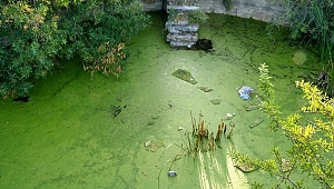 Arter'de iki yeni sergi: Ada ve Boş Ev