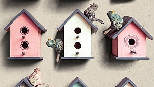 Serpil Tuncer’den yeni kitap: Kuşları Uğurlama Sanatı