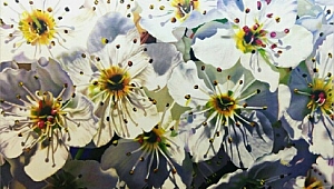 Sevtap Yılmaz'dan yeni sergi: Tükeniş