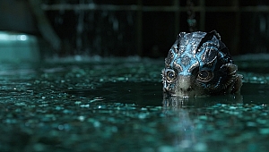 Açıkhava Film Festivali, The Shape Of Water ile başlıyor