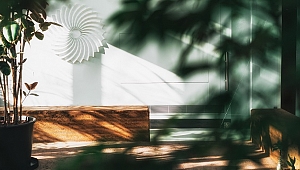 SALT Beyoğlu'nda konuşma: Kış Bahçesi'ni Topraklamak