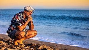 M. Caner Alper kimdir?