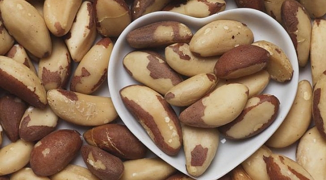 Amazon Cevizi Faydaları, Nerede Satılır - Yaşam - Güncel ...