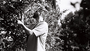 Aykan Safoğlu kimdir?