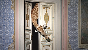 Abdülmecid Efendi Köşkü “İçimdeki Çocuk” ile kapılarını açıyor