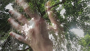 Açıkekran sanat sezonunu Lara Ögel ile karşılıyor