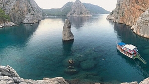 Online Gezi Rehberi Yanı Başınızda 