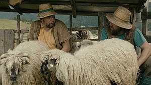 Akbank Sanat'tan Romanya filmleri seçkisi