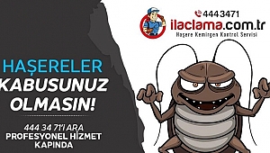 Fare ilaçlama fiyatları nelerdir?