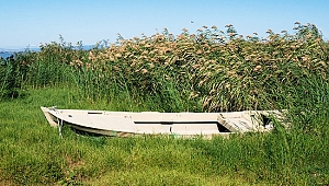 Fotoğraf sergisi: Az Daha Çoktur
