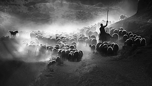 Dünya Fotoğraf Ödülleri'nde Türkiye Ulusal Ödülü'nü kazanan isim belli oldu