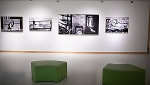 Sergi: Hayat Başka Yerde