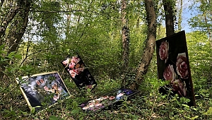 43 sanatçıdan Pandemi Günlerinde Fotoğraf sergisi